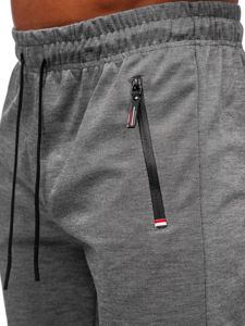 Szare spodnie męskie joggery dresowe Denley JX8201